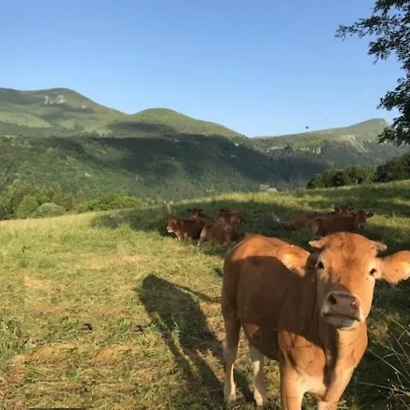 T3 2 Etoiles Avec Wifi, A 300m Des Thermes - Fr-1-608-255 Le Mont-Dore